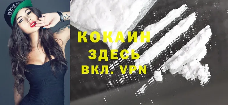 где купить наркоту  Пыталово  Cocaine 98% 